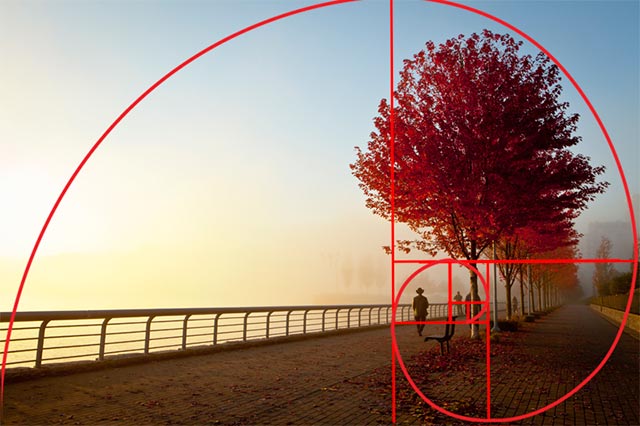 The golden spiral and ratio added atop an image of a boardwalk with people in the distance by a red maple tree and bench