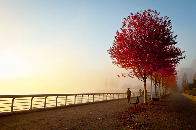 Image of fog on the sea wall, Vancouver, Canada using the Golden Ratio spiral composition by Sarah Vercoe.