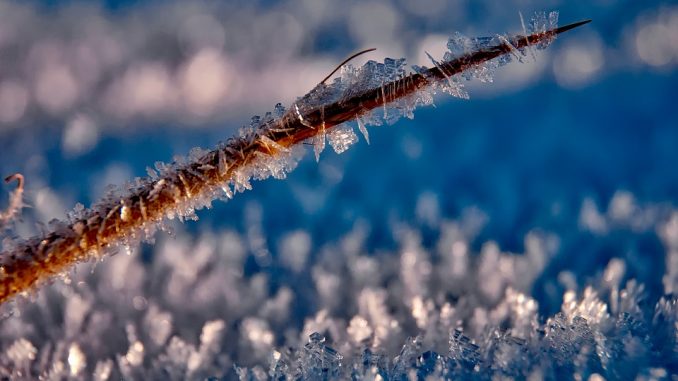 winter-nature-photography - Winter photography Ideas