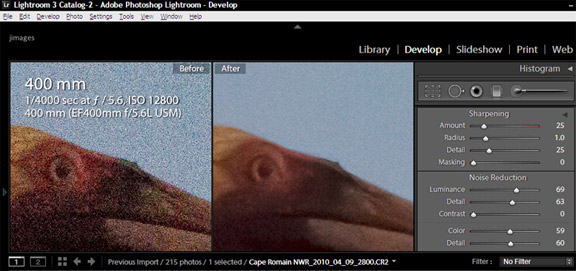 Screen capture of Lightroom 3 tools
