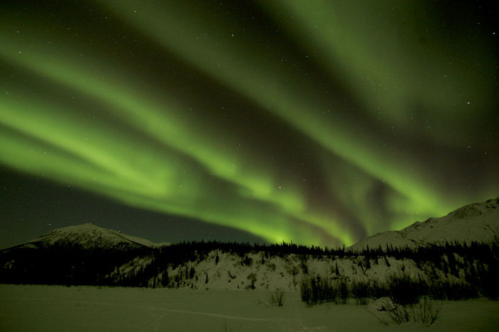 Photo of the Aurora Borealis in shades of green in Alaska by Andy Long