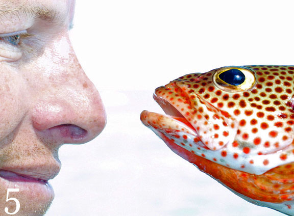 Photo of a man and fish looking at each other by Jim Austin.