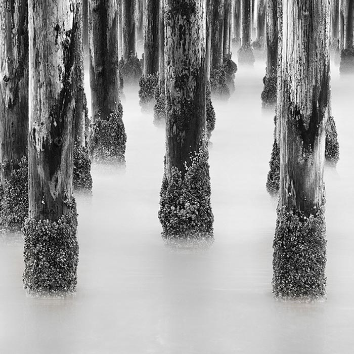 Black and white photo of Pismo Beach in California by Geoffrey Gilson.