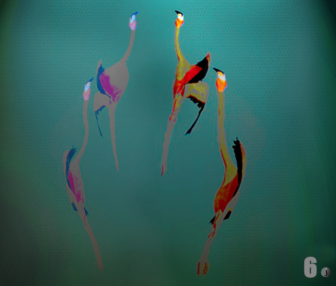 Creative photo of flamingos using post-processing techniques by Jim Austin