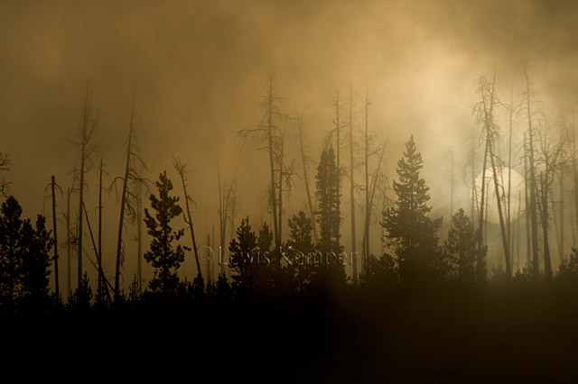 Landscape image of sun shrouded in mist and fog at Yellowstone National Park in Wyoming by Lewis Kemper.