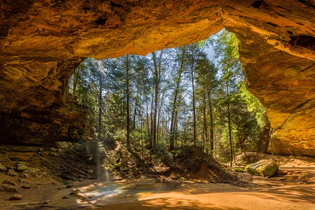 Landscape image of trees seen from the opeing of Ash Cave, Hocking Hills, Ohio by Lewis Kemper.