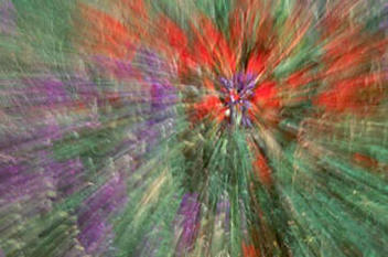 Abstract floral with red, purple and green creating by zooming the camera lens by Andy Long.