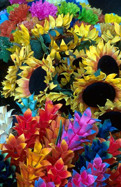 A basket of many different colored flowers by Andy Long.