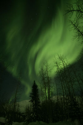 Aurora Borealis photo by Andy Long