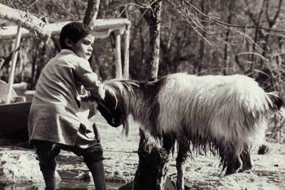 Photo of boy and goat in Srinigar, Kashmir, India by Ron Veto