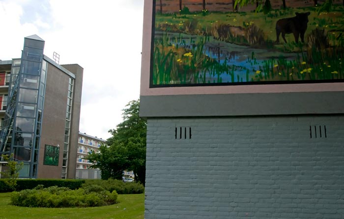 Biodiversity: photo of green space and nature painting on a flat in the city of Rotterdam by Edwin Brosens