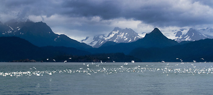 Photo of Katchemak Bay Mountains in Homer, Alaska by Barry Epstein