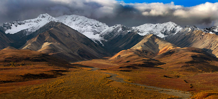 Alaska colors. Autumn photo of Alaska Mountain Range in Denali Park by Barry Epstein