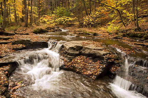 Autumn color photo of Double Run waterfall in the Allegheny National Forest in Pennsylvania by Robert Hitchman