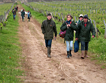 Photo of vineyard field workers in Southern France by Cliff Kolber