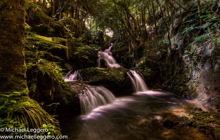 Photo of jungle and river with silky water effect in Hawaii by Michael Leggero