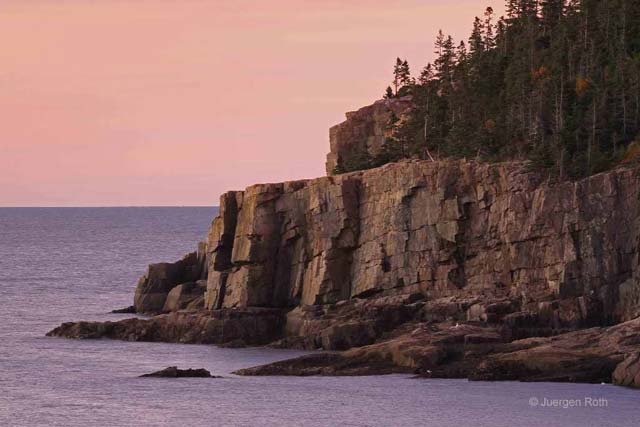 Acadia National Park, Maine: rocks, evergreen trees and shore of Otter Cliff at dawn by Juergen Roth.