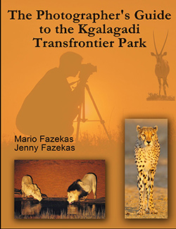 Cover of the book The Photographer’s Guide to the Kgalagadi Transfrontier Park.