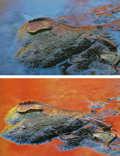 Close-up of reflections in water showing color difference when changes angles by Nancy Rotenberg.