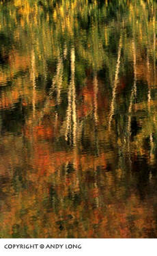 Photo design concepts: trees reflected in water depicting an impressionistic image by Andy Long.