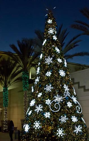 Photo of Christmas tree & decorations at dusk by Noella Ballenger