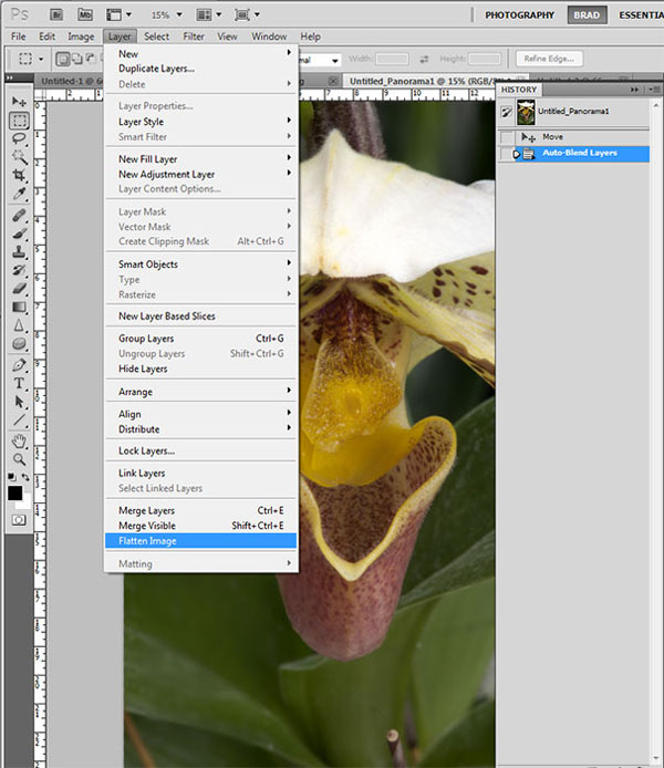 Screen shot of flattened orchid photo after Focus Stacking in Photoshop CS5 by Brad Sharp