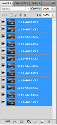 Screen capture of Layers used for Focus Stacking in Photoshop CS5 by Brad Sharp