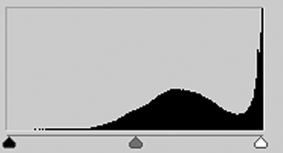 Example histogram from overexposed photo by Michael Fulks.