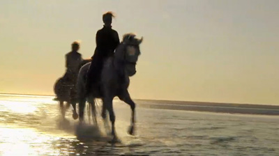 Photo of galloping horses and their riders on beach at sunset by Gert Wagner