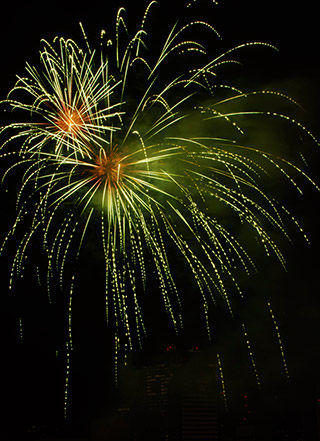 Green and gold fireworks image by Marla Meier.