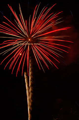 Fireworks image that looks like a big red flower with a gold stem by Marla Meier.