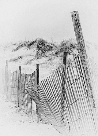 Black and white photo of a picket fence on the dunes by Marla Meier.