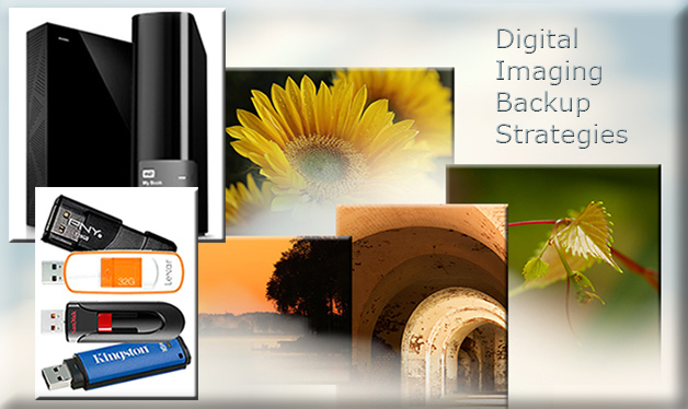 Collage of various digital imaging backup solutions by Marla Meier.