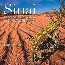 Cover of book Sinai: Landscape and Nature in Egypt’s Wilderness.