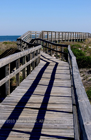 Image of boardwalk to the ocean, Little Talbot Island, Jacksonville, Florida by Marla Meier.