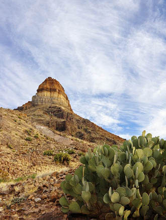 Photo of Cerro Castolo at Big Bend National Park by Gary Nored