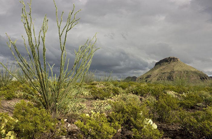 Photo of rain clouds and desert at Big Bend National Park by Gary Nored