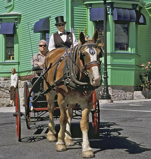Photo of horse-drawn carriage in Lumenburg, Nova Scotia by Mike Goldstein
