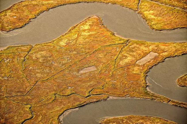 aerial photography business: image of golden landscape and winding river by Allen Moore.