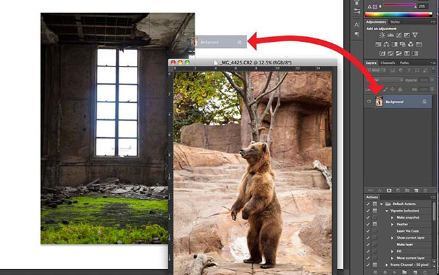 Photoshop screen shot of dragging and dropping a bear image into another image file to create the "Story Teller" by Katelin Kinney.