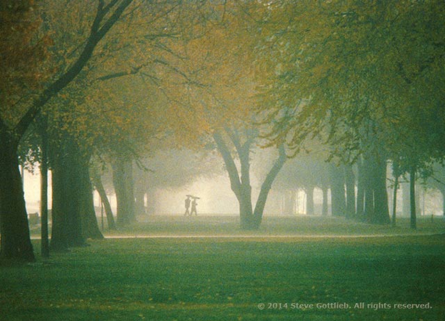 Misty, moody image of a couple walking in a tree lined park by Steve Gottlieb.