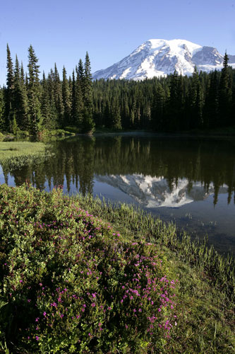 Photo of Mount Rainer & its reflection at Reflecting Lakes by Andy Long