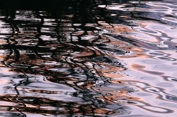Abstract photo of trees reflected in water by Andy Long