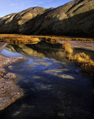 Landscape photo of Salt Creek in Death Valley , Utah by Noella Ballenger