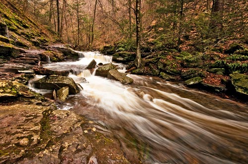 Photo of Mohican Falls at Ricketts Glenn State Park by Robert Hitchman