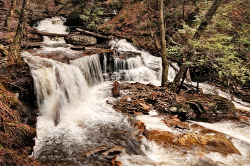 Photo of Delaware Falls at Ricketts Glenn State Park by Robert Hitchman