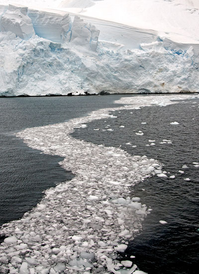 Photo of glacier and ice path on Lemaire Channel, Antarctica by Cliff Kolber
