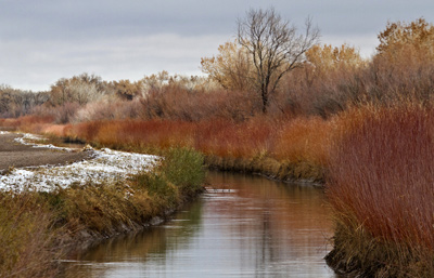 Scenic photo of water canal in fields at Bosque del Apache Wildlife Refuge by Noella Ballenger
