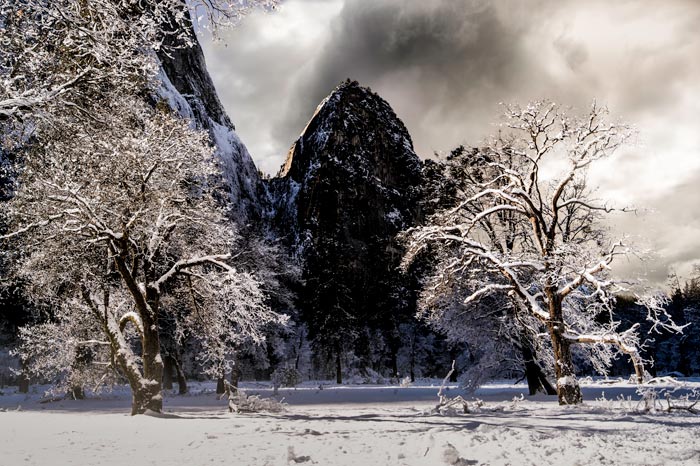 Photo of mountain and trees covered in snow in Yosemite National Park by Michael Leggero.