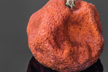Macro photo of orange, dried fruit with a 180mm macro lens by Brad Sharp
